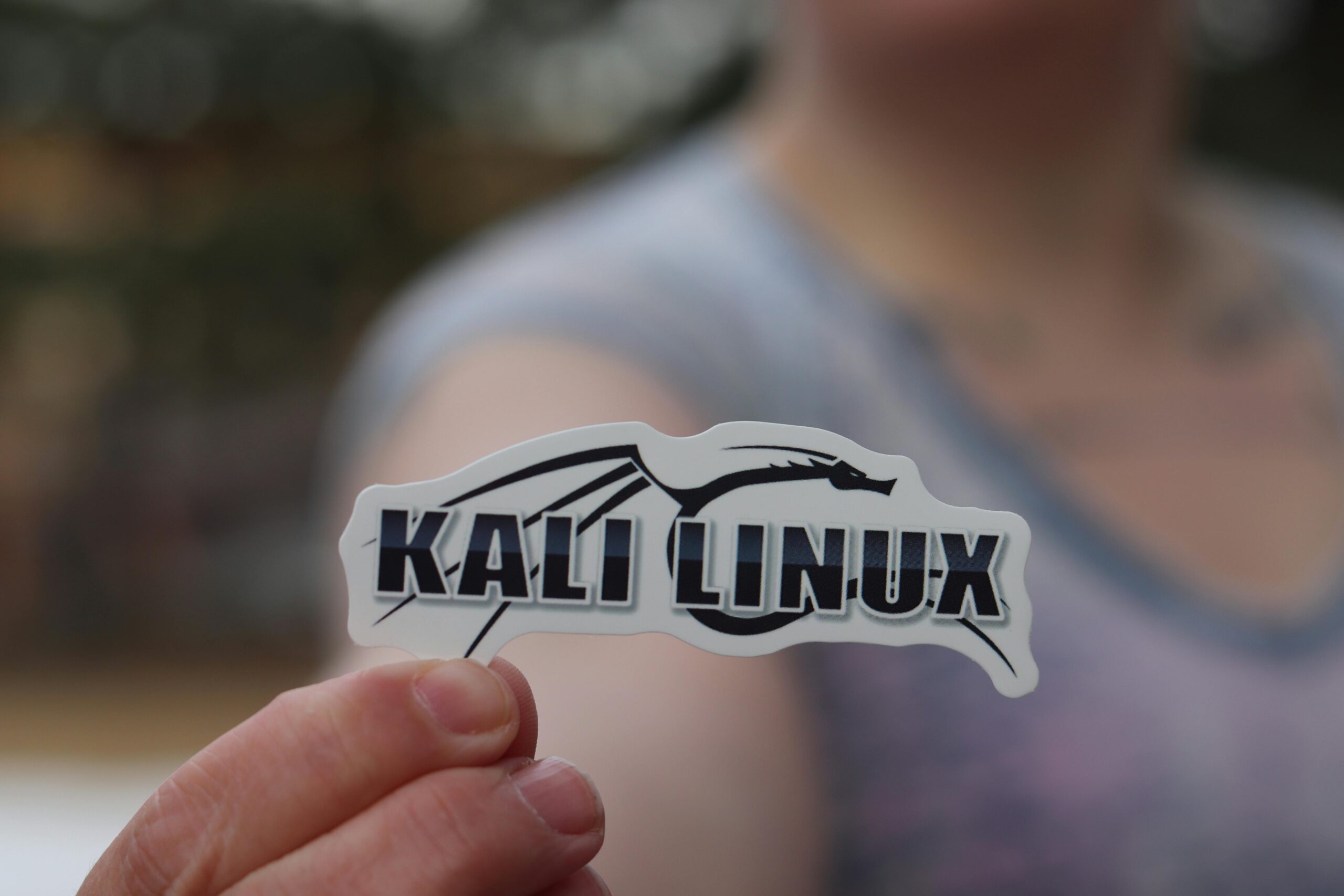 Schriftzug Kali Linux